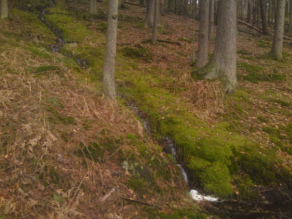 Готель Landgasthof Waldfrieden Wildensee Екстер'єр фото