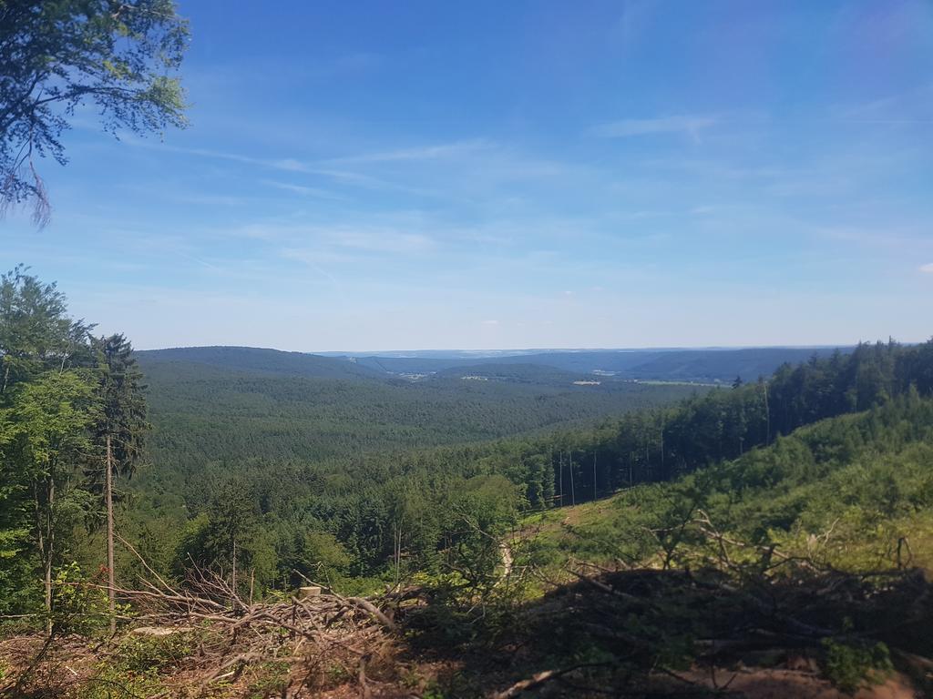 Готель Landgasthof Waldfrieden Wildensee Екстер'єр фото
